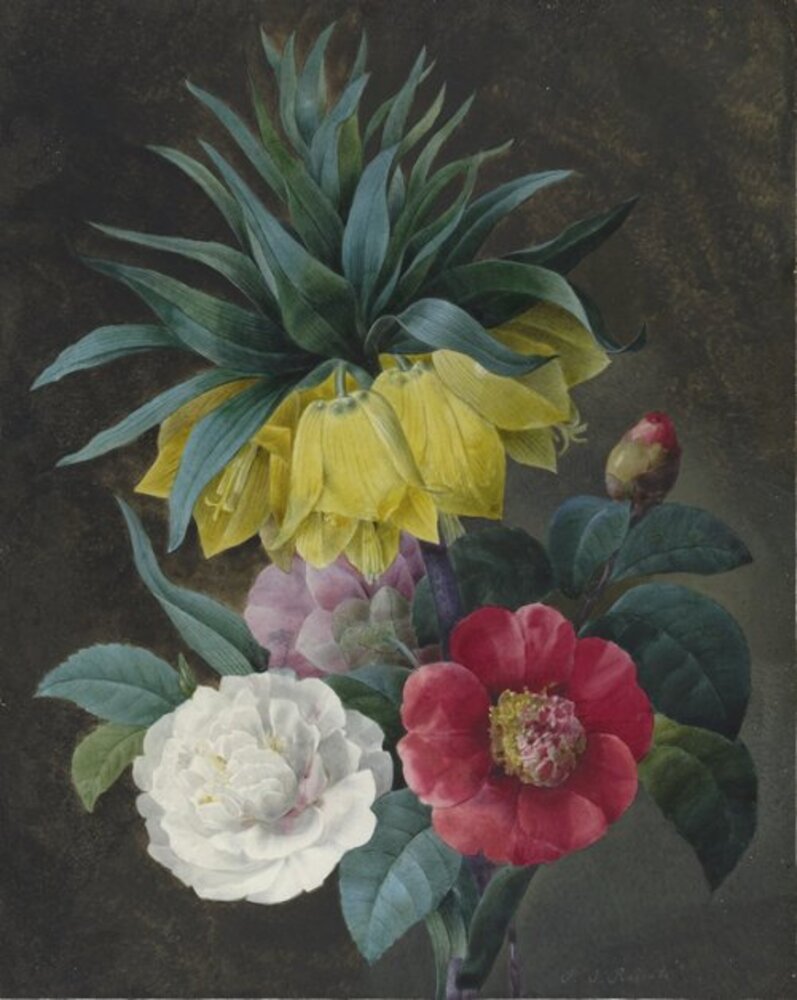 Four peonies and a crown imperial