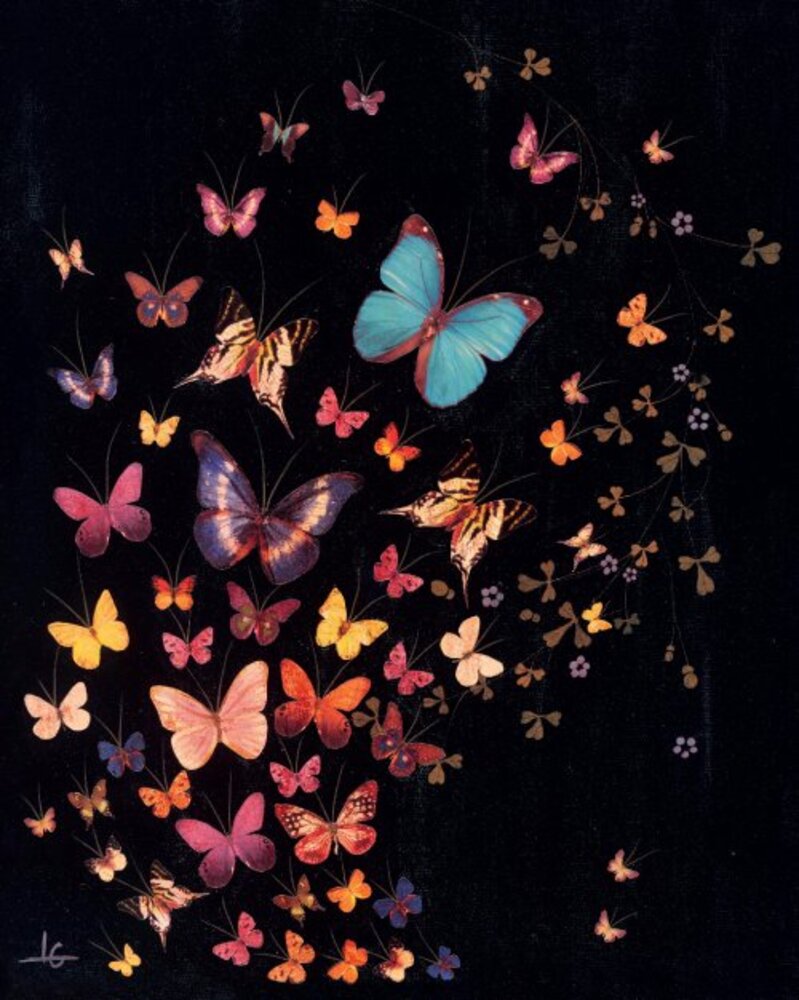 Midnight Butterflies