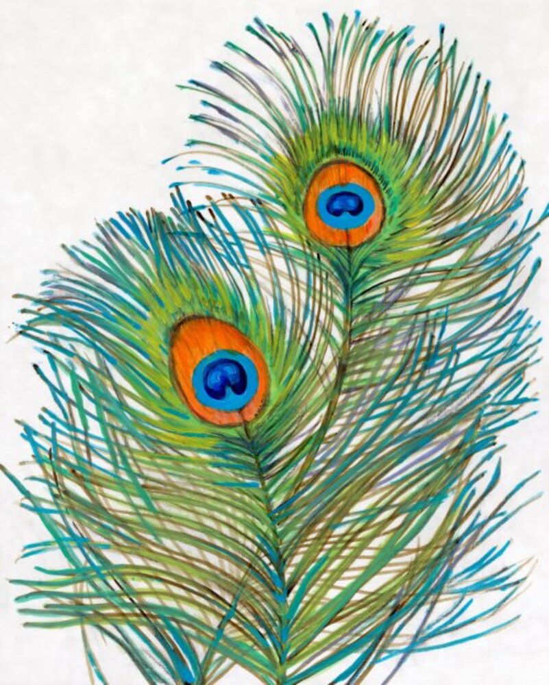 Vivid Peacock Feathers I