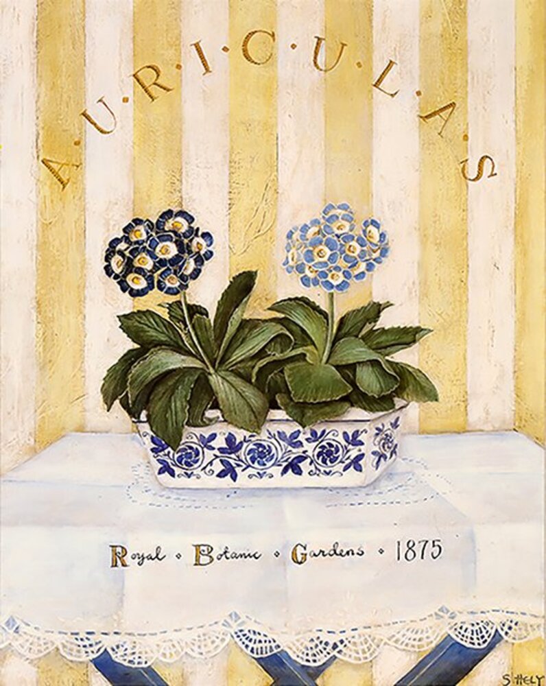 Royal Botanic Gardens 1875