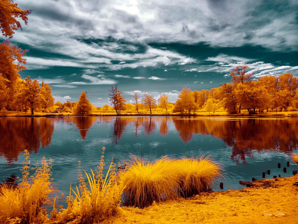 Majolan s Park Reflections II-Bordeaux - Infrared and UV Photography