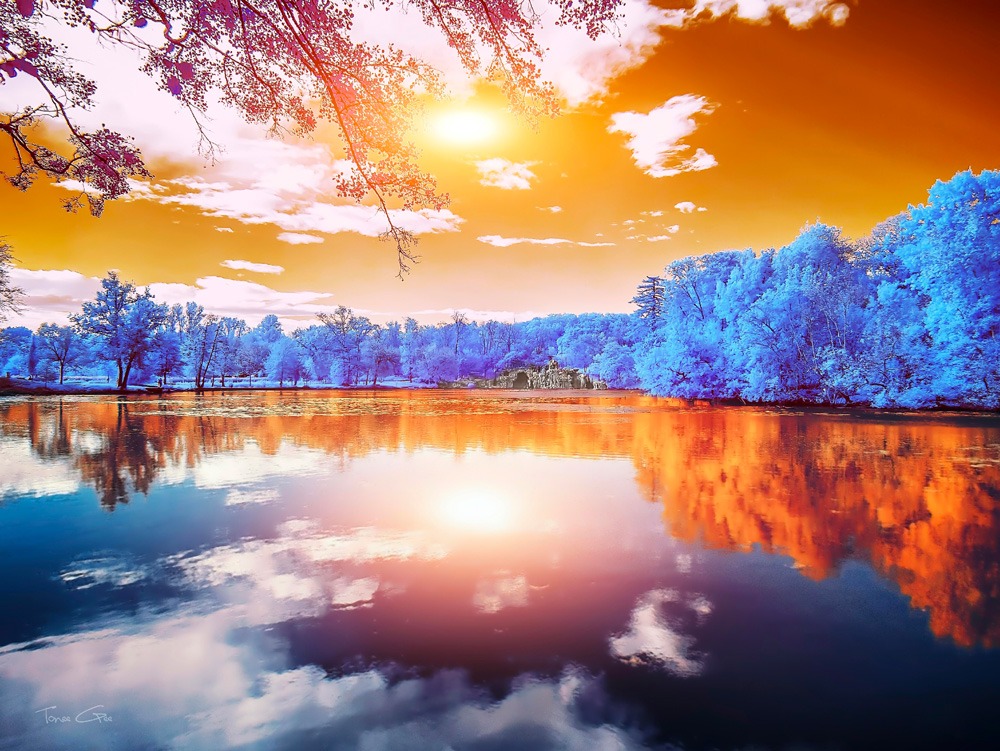 Double Reflections-Majolan s Park-Bordeaux - Infrared Photography