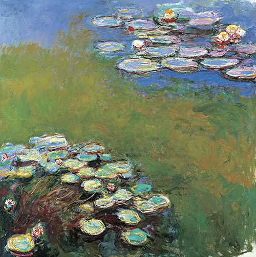 Water Lilies