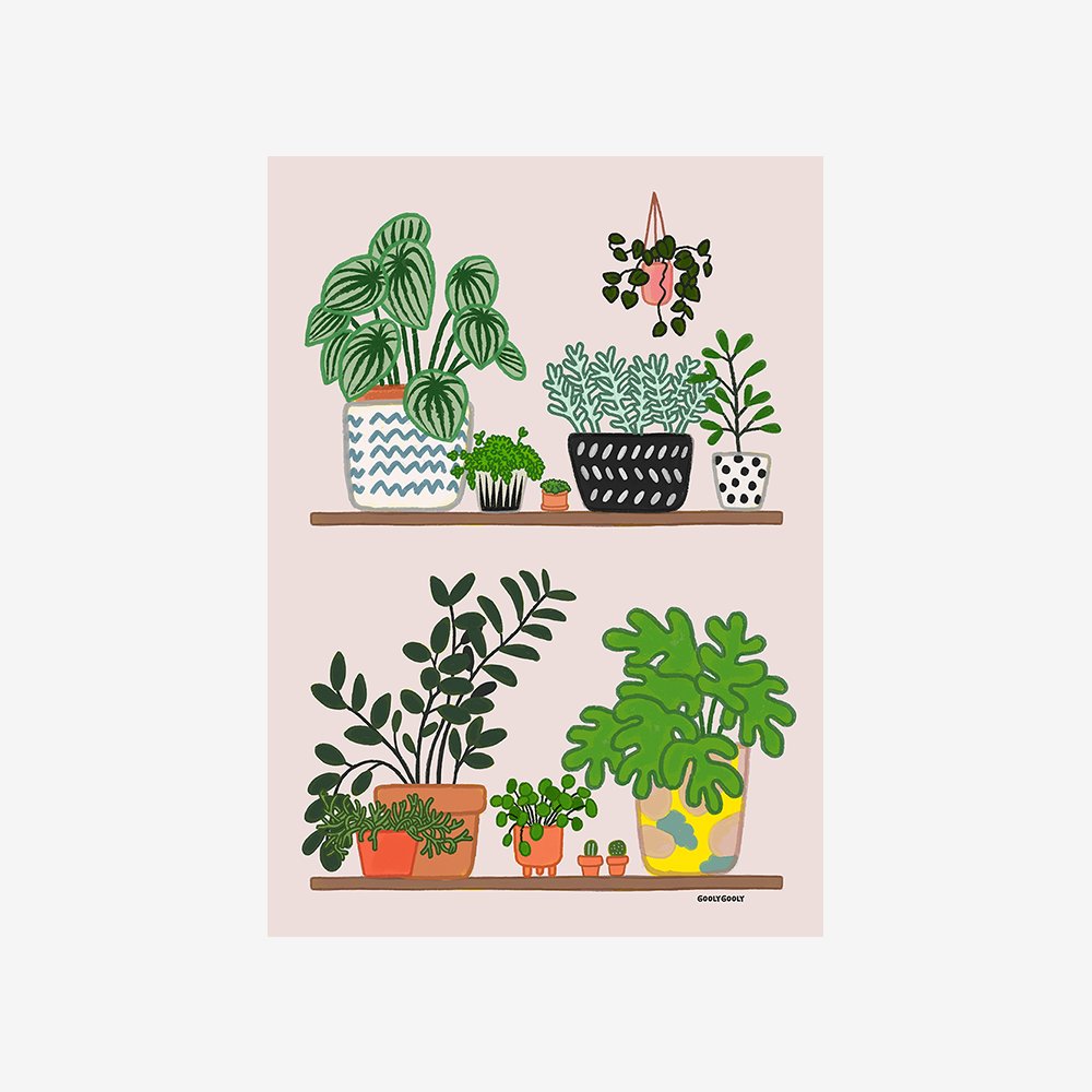 POTTED PLANTS