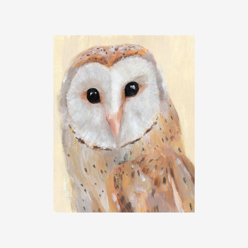 Common Barn Owl I