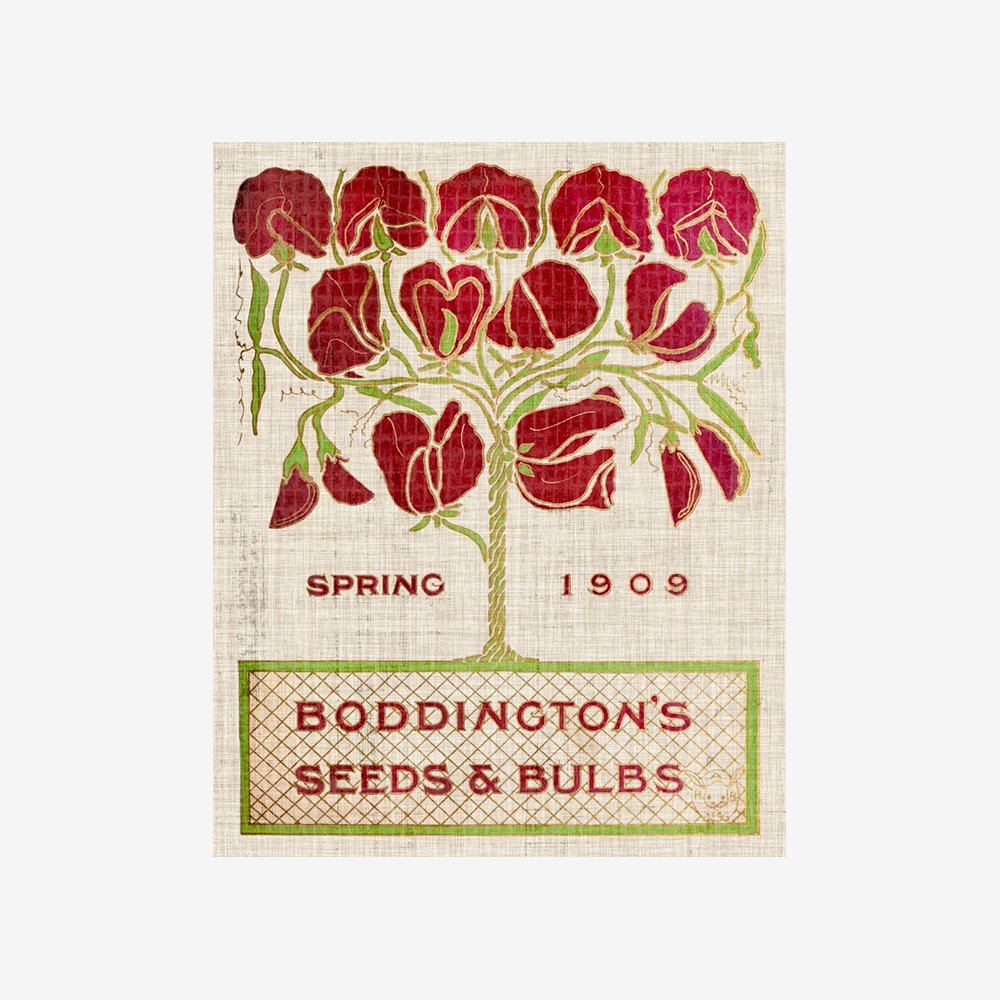 Flower Seed Packs II