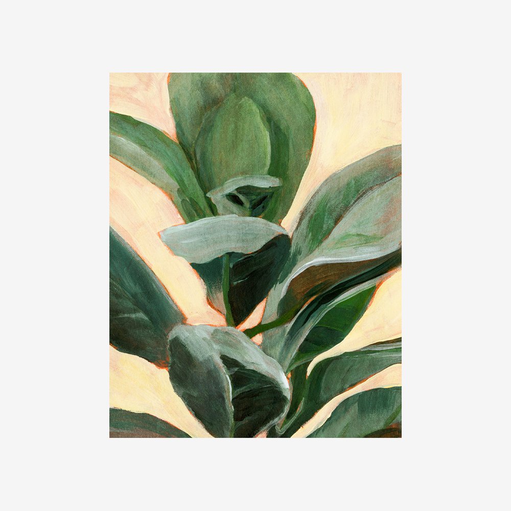 Plant Study II