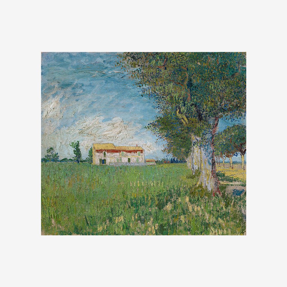 Farmhouse in a wheatfield