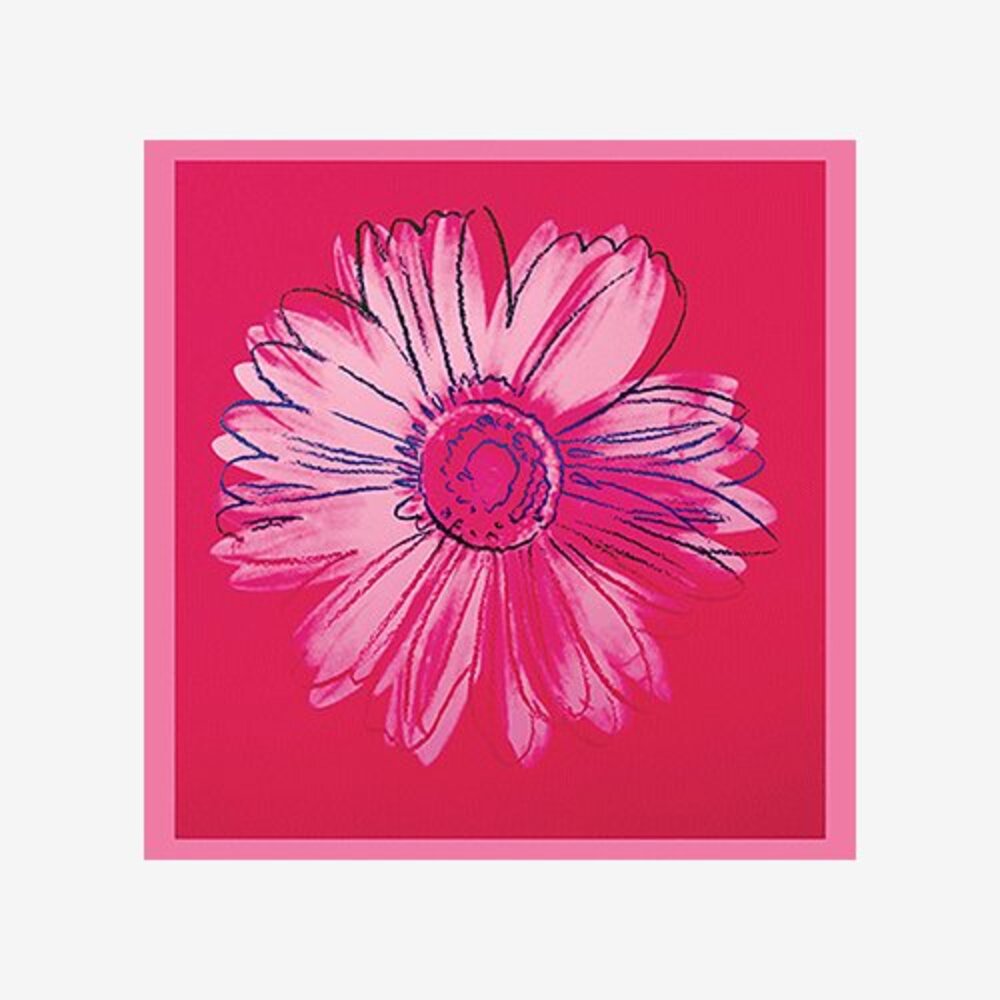 Daisy c. 1982 (crimson and pink)