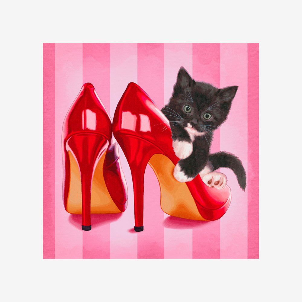 Chaton et chaussures