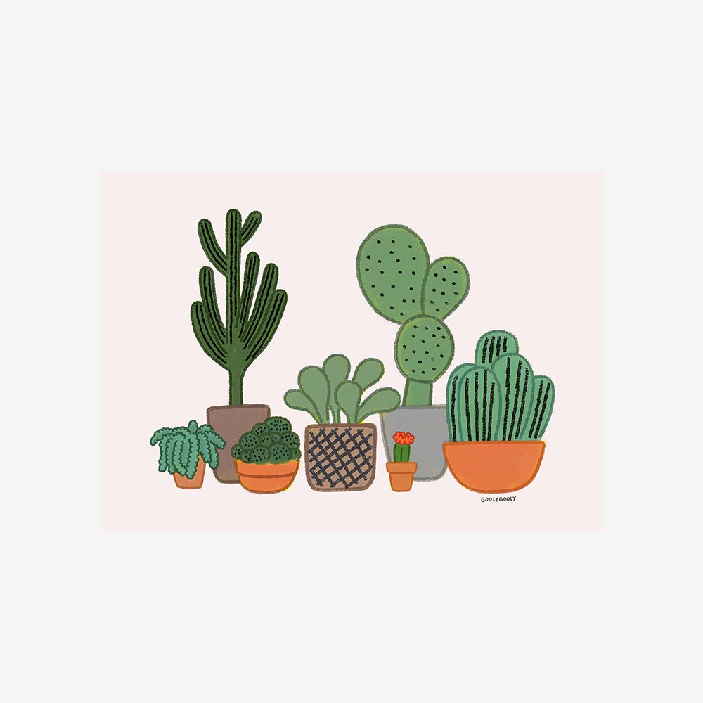 Cactus Family