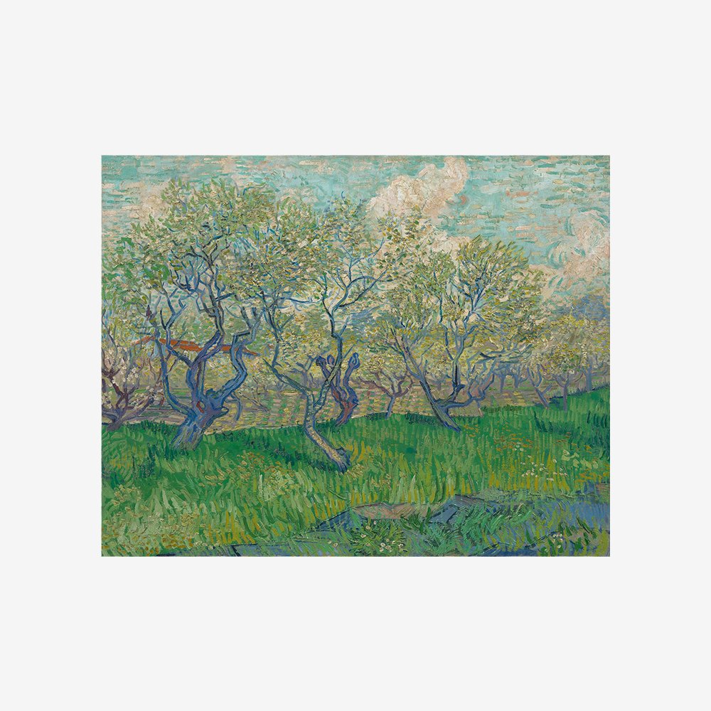 Orchard in Blossom