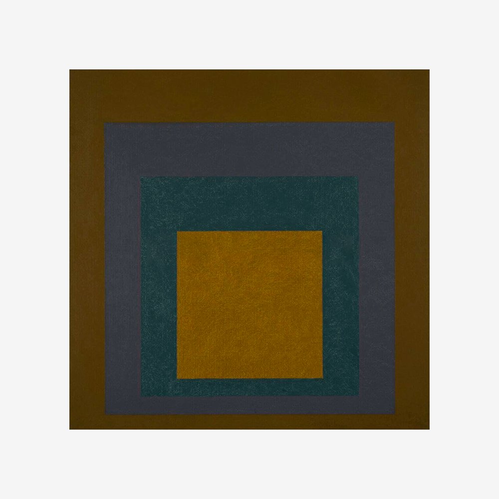 Homage to the Square: Transmuted