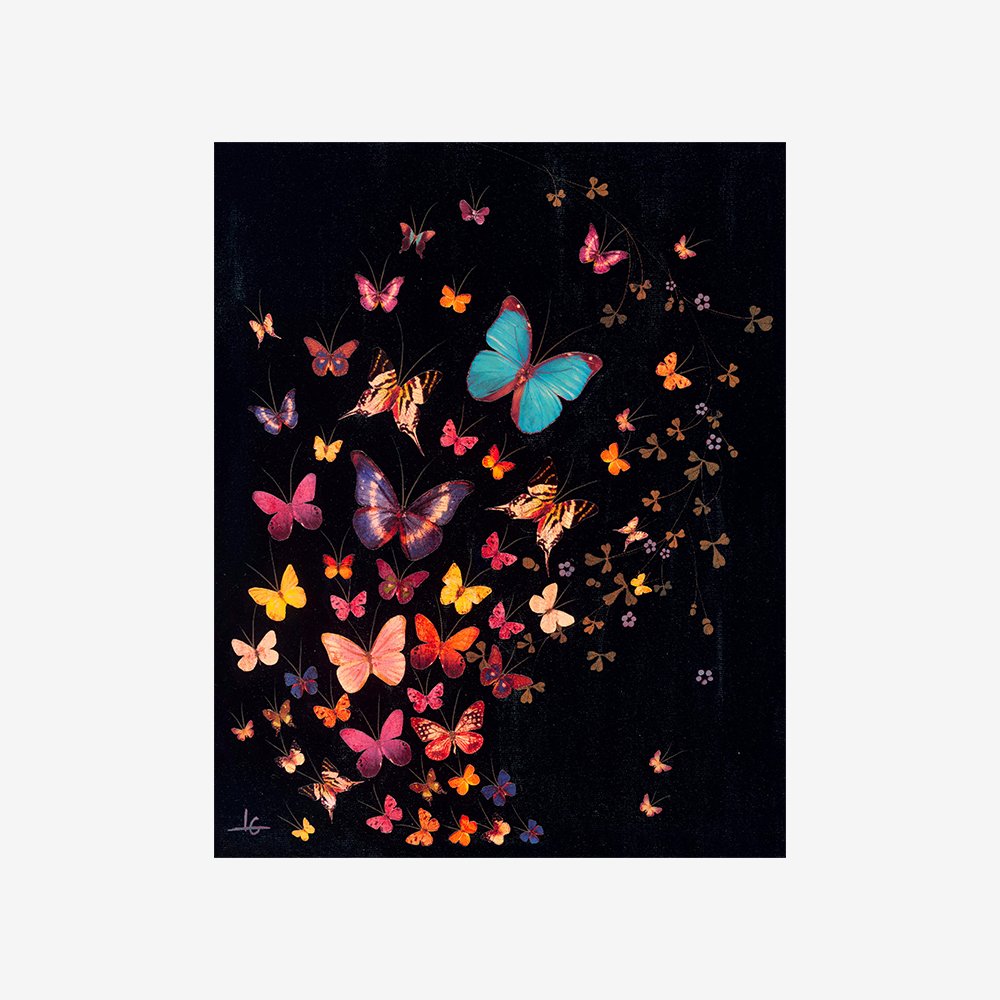 Midnight Butterflies