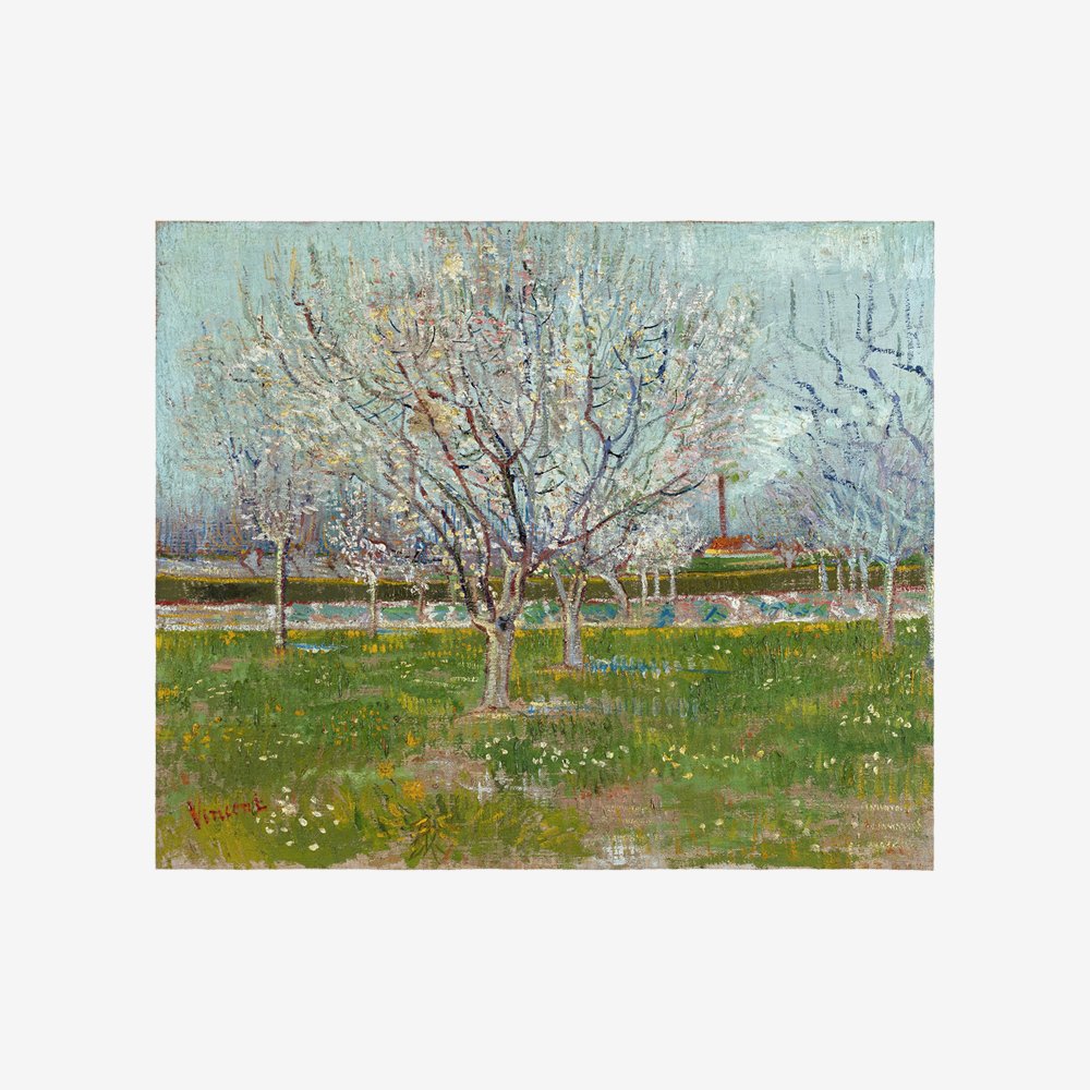 Orchard in Blossom