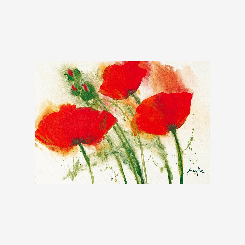 Coquelicots au vent I