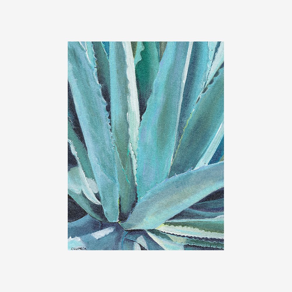 Blue Agave