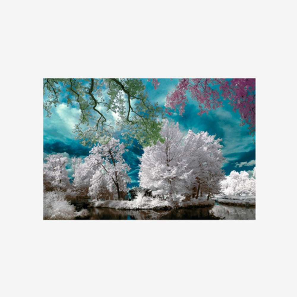 Cayac,Gradignan - Infrared Photography