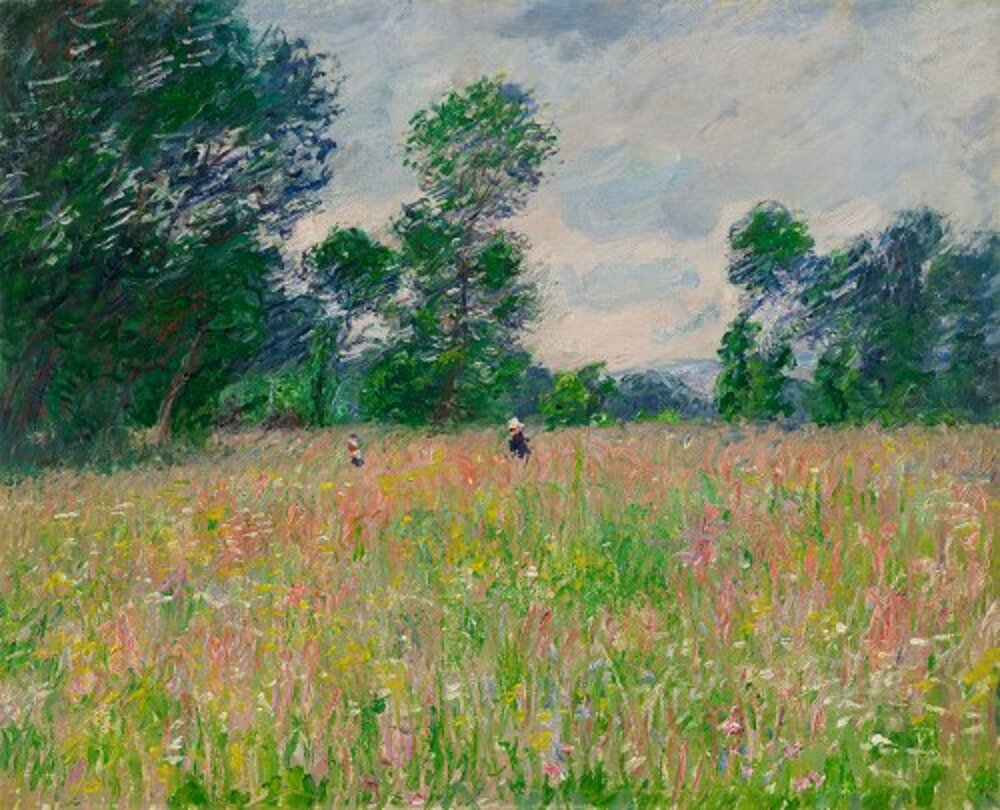 The Flowered Meadow