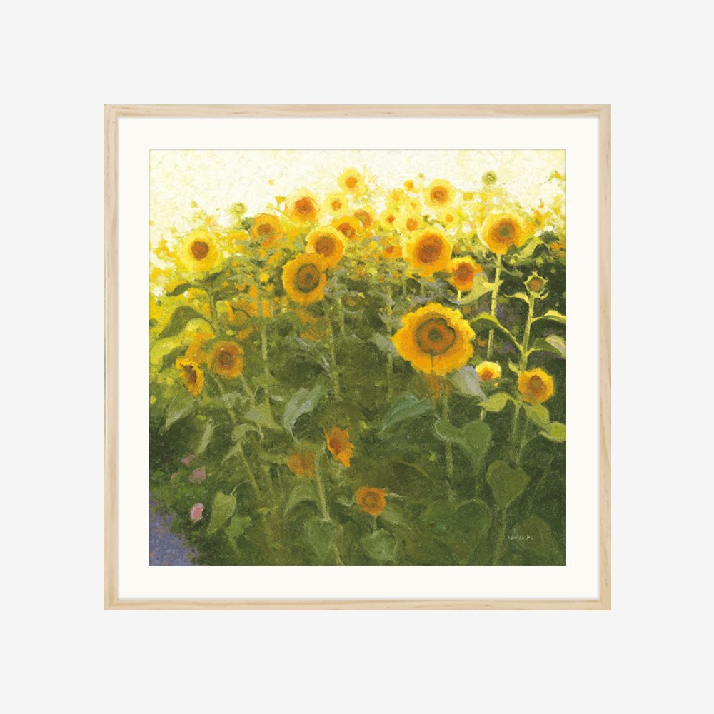 [FRAME] Sunflower Field