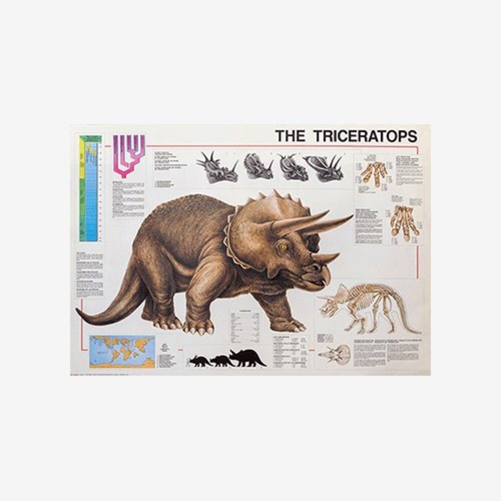 The Triceratops