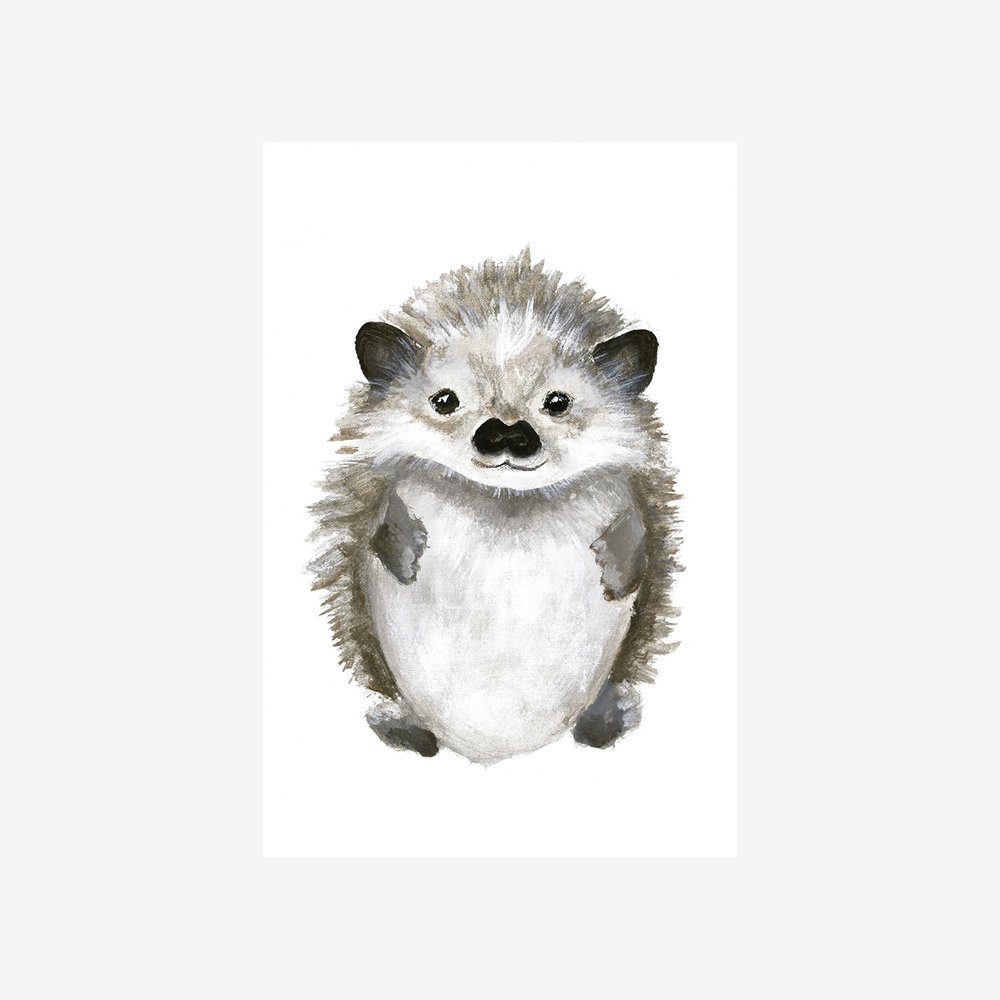 Little Hedgehog