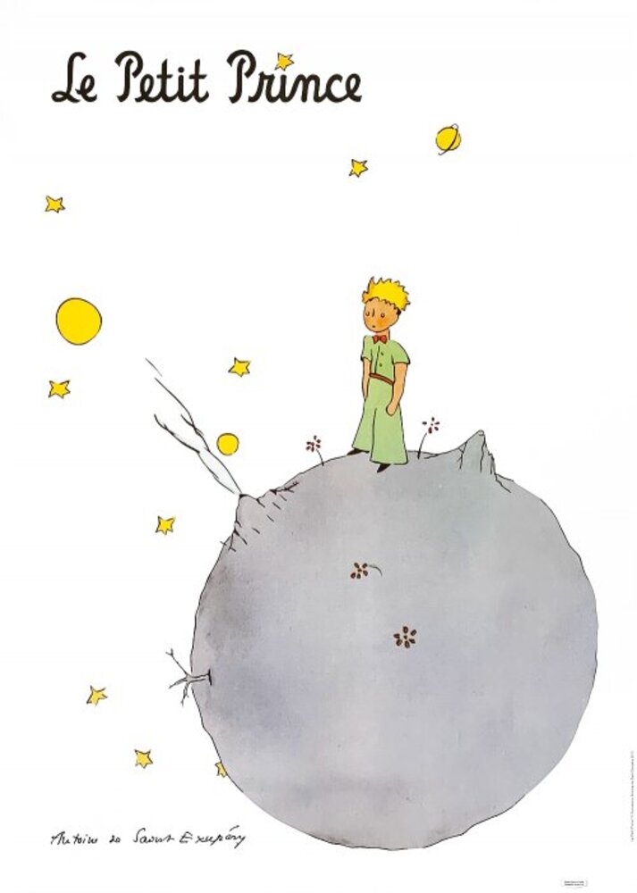 The Little Prince and his Asteroid