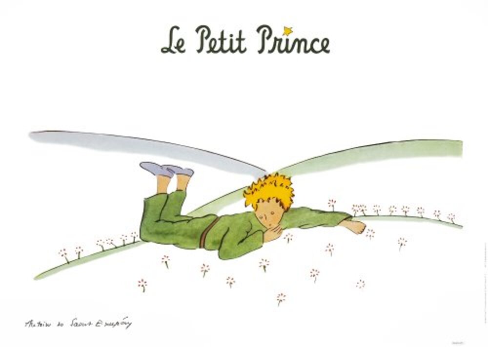 The Little Prince Dreaming