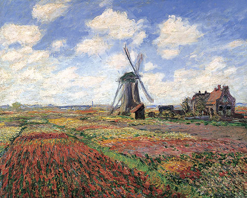 Tulip field with the Rijnsburg Windmill