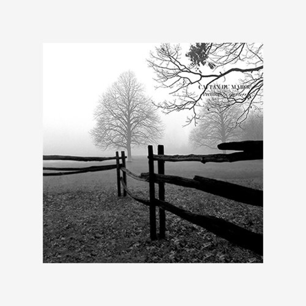 Fence in the Mist