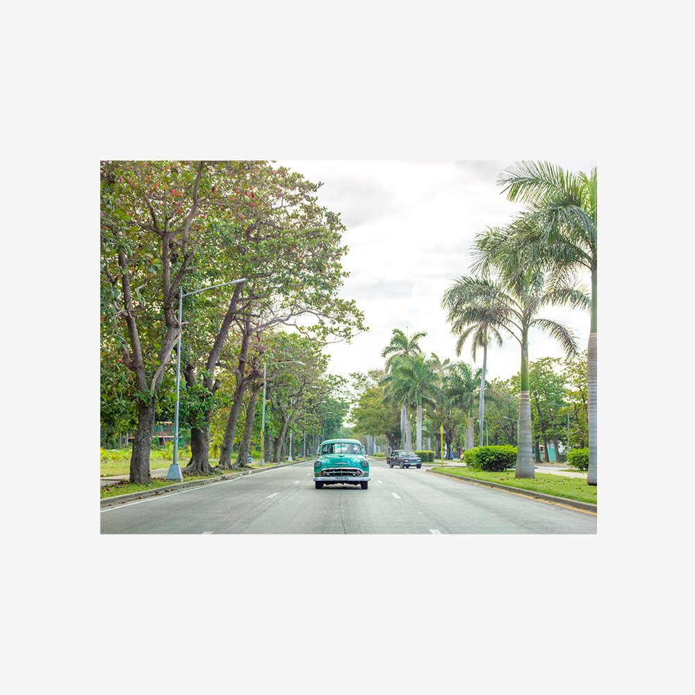 Vintage car on a road with palm trees, Cuba