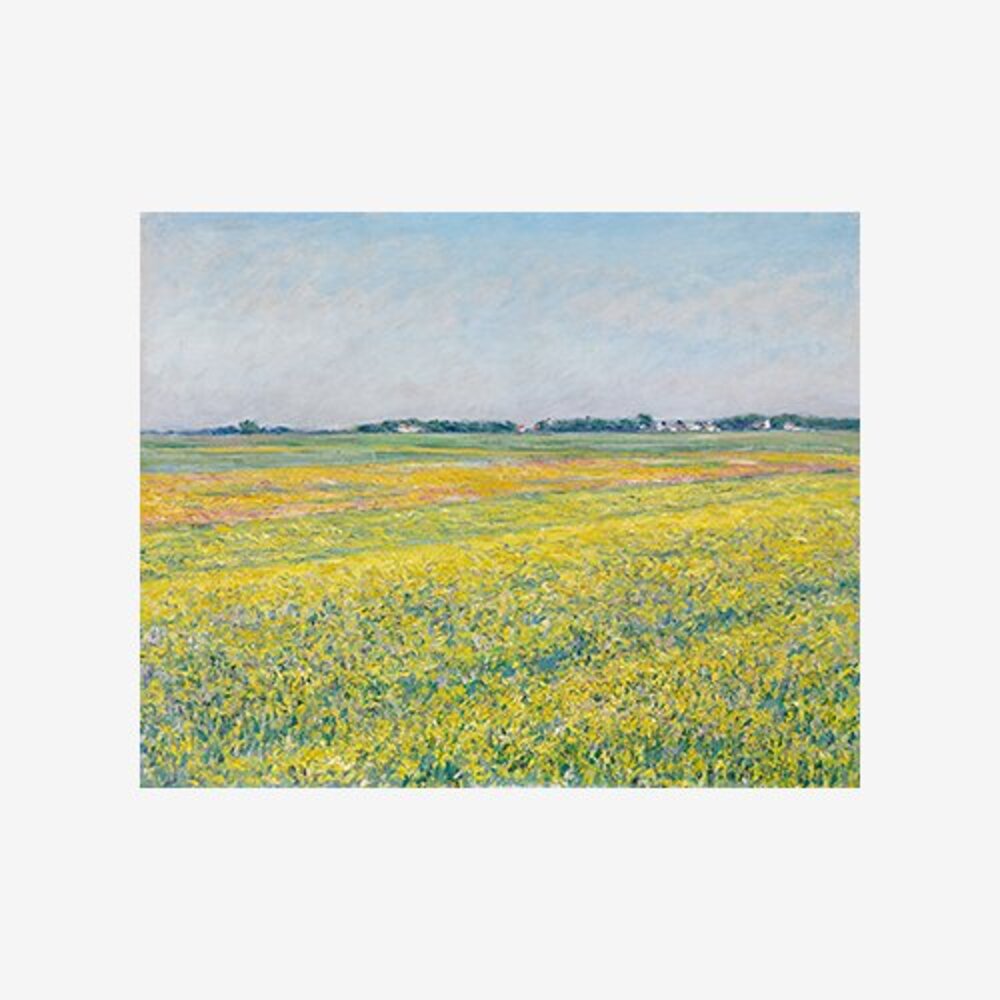 The plain of Gennevilliers, yellow fields
