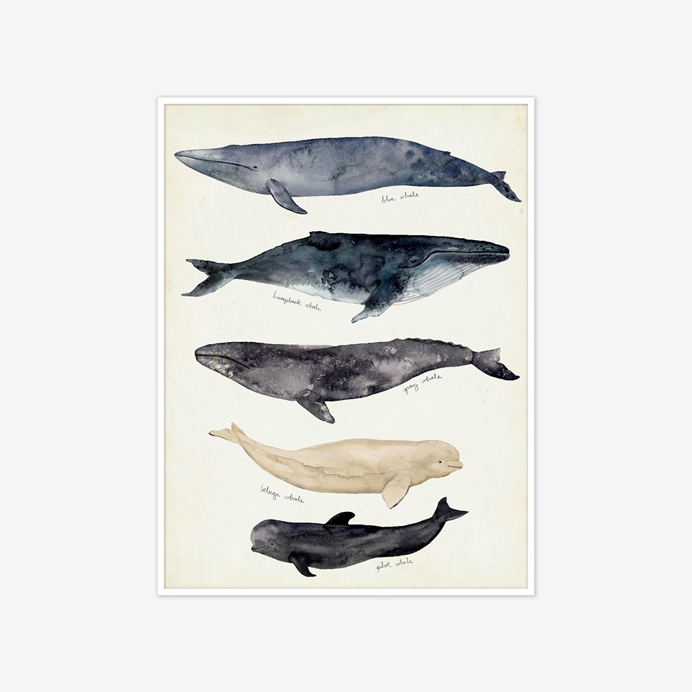 [액자포함] Whale Chart II