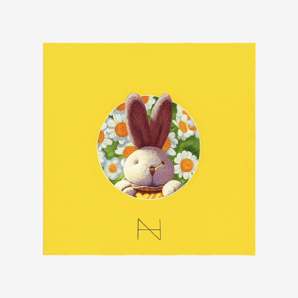 It is spring(Rabbit,yellow wall,chamomile)
