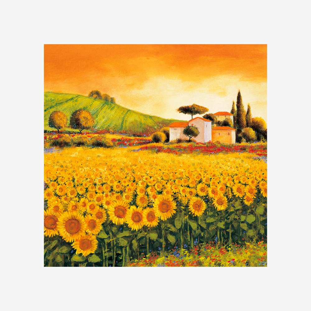 Valley of Sunflowers