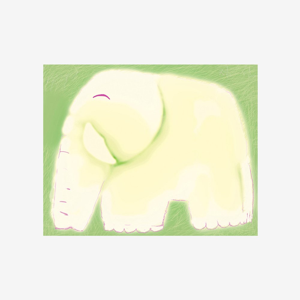 elephant