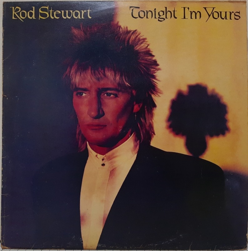 ROD STEWART / TONIGHT I&#039;M YOURS