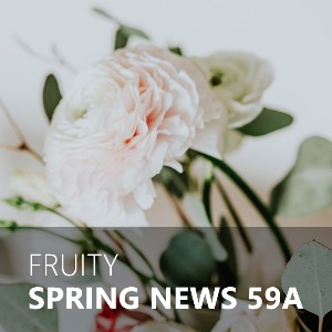 SPRING NEWS / 스프링뉴스 59A