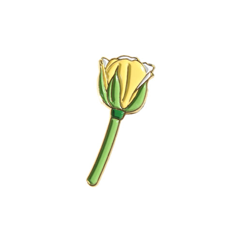 Yellow Tulip