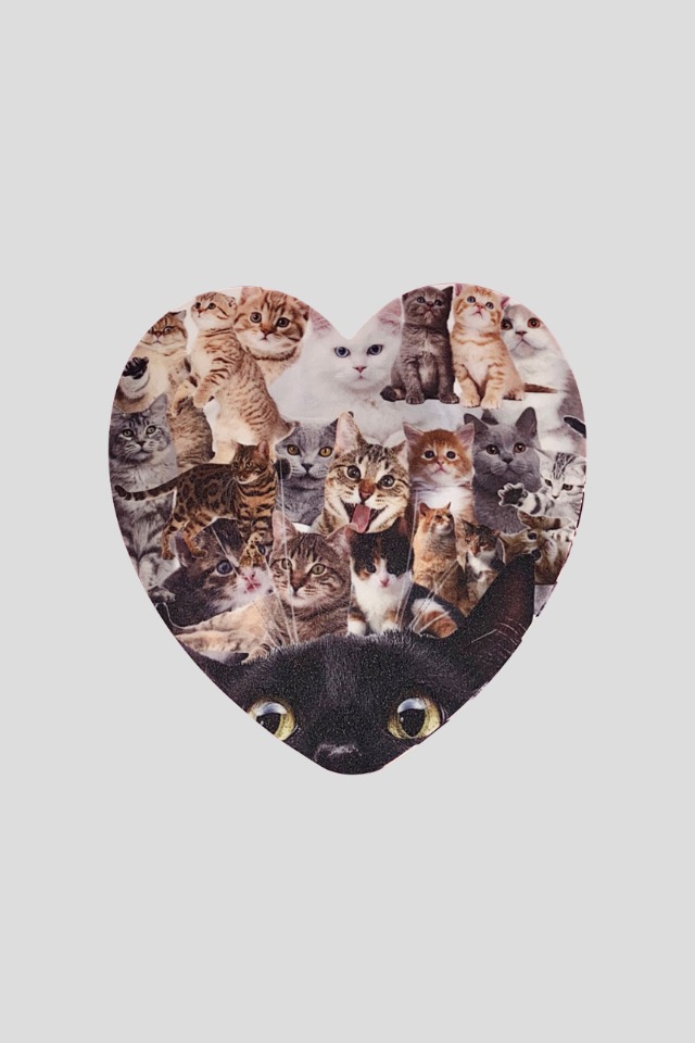 Love cat mouse pad