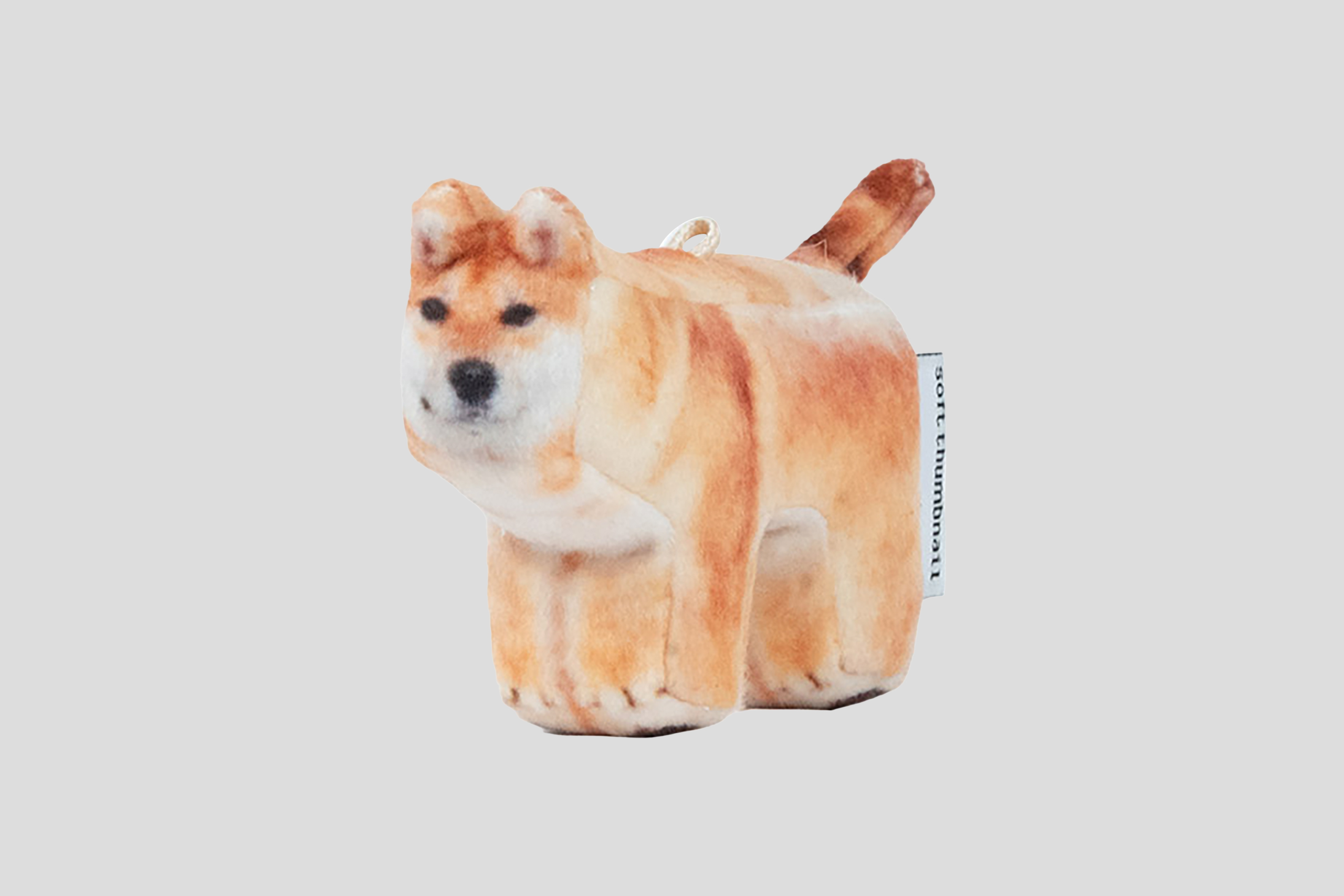 Guma, Shiba Inu - BE(ATTITUDE) SHOP