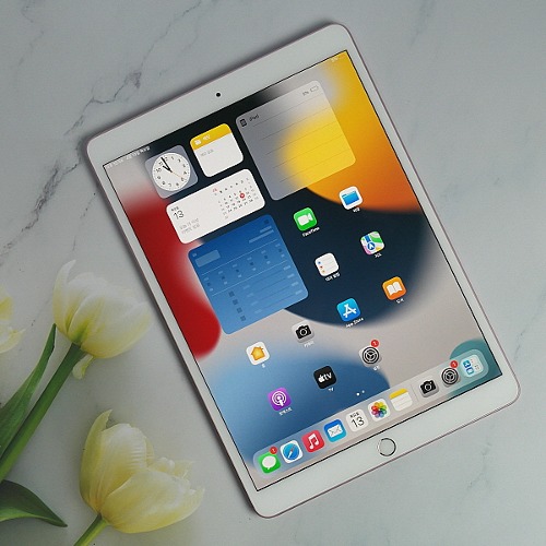 [IT리퍼비시/굿컨디션/핑크골드] Apple 아이패드 프로 2세대 A1701 10.5 / 64GB / iPad Pro Wi-Fi/ 10.5인치(26.7cm)/ios/전문가성능점검OK