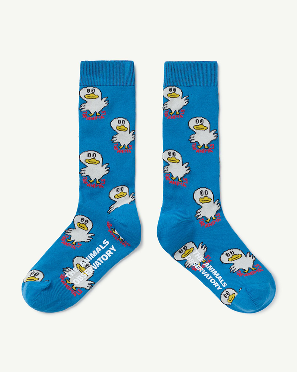 [TAO] F23101-187_XX / WORM KIDS SOCKS Blue