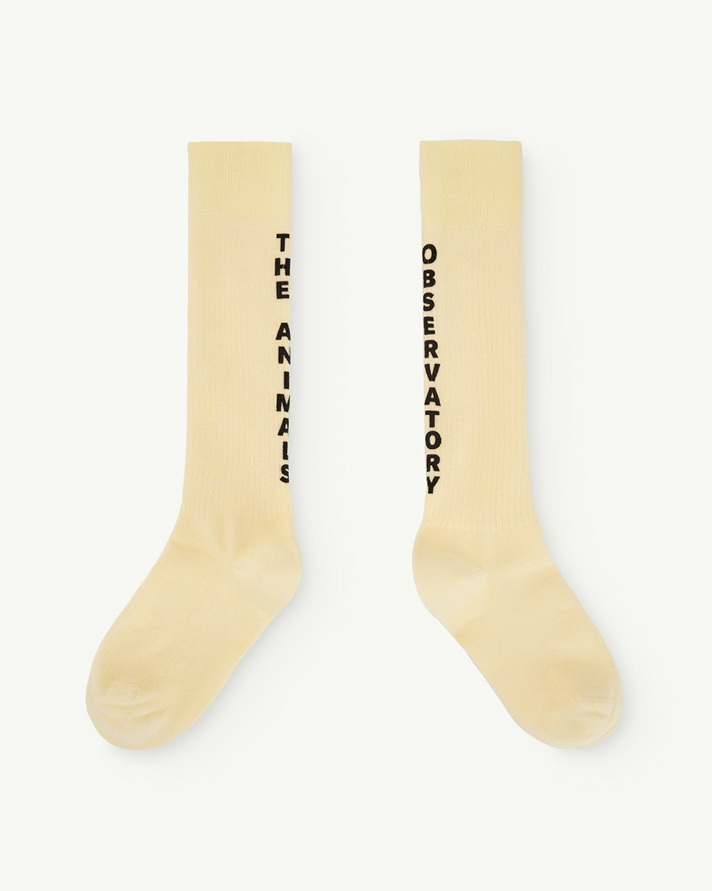 [TAO] S24127-217_XX / WORM KIDS SOCKS Soft Yellow