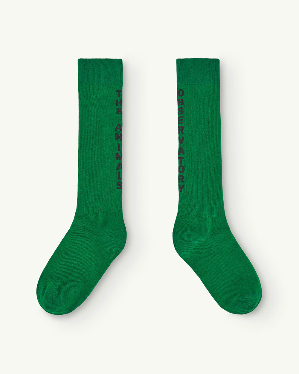 [TAO] S24127-188_XX / WORM KIDS SOCKS Green