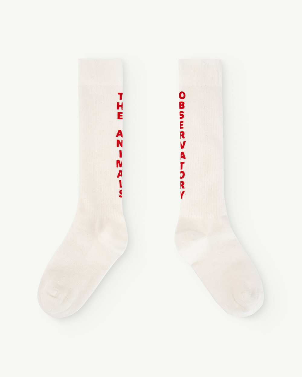 [TAO] S24127-036_XX / WORM KIDS SOCKS White