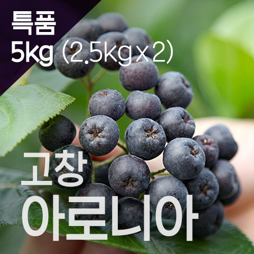 무농약 아로니아 5kg 급냉 꼭지제거 특품 트레이포장