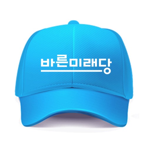 바른미래당 선거 모자 제작