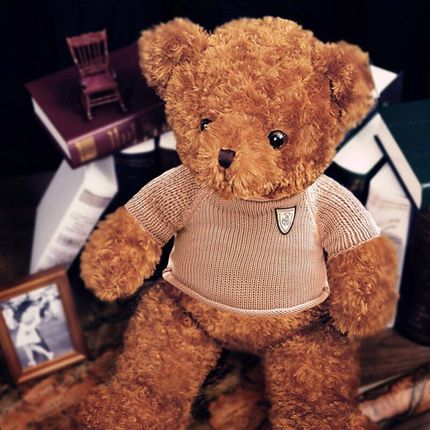 대형곰인형 생일선물 뽀글이 장난감 긴줄 여자 대형 테디 잠자기 귀여운 전용 피겨-22293192502081