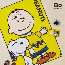 Snoopy camping mats